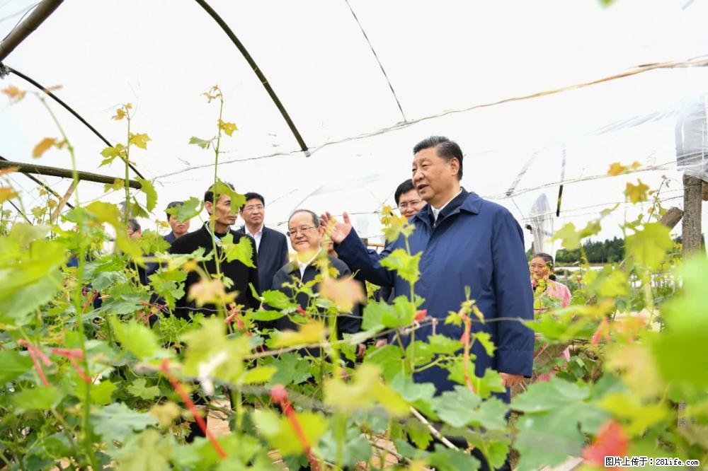 习近平赴广西考察调研 - 石家庄生活资讯 - 石家庄28生活网 sjz.28life.net