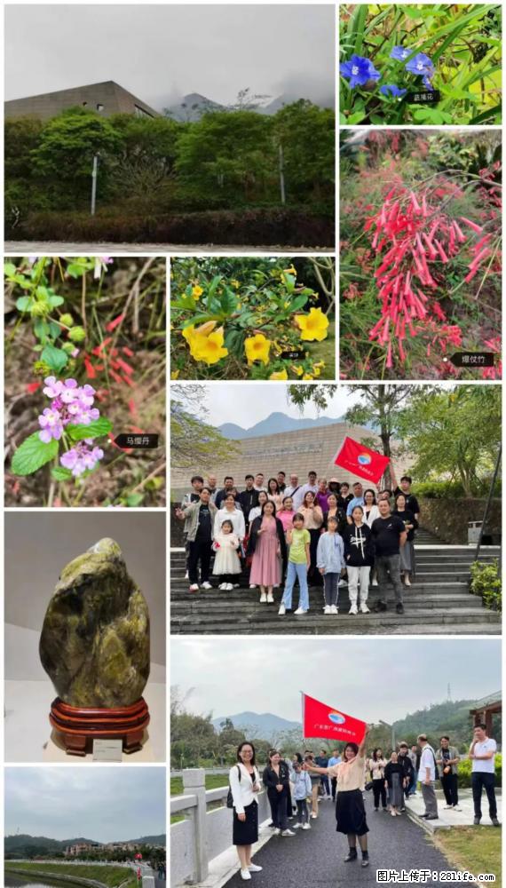 “粤灌文化 美好生活”油茶文化主题活动在广东深圳成功举办 - 石家庄生活资讯 - 石家庄28生活网 sjz.28life.net