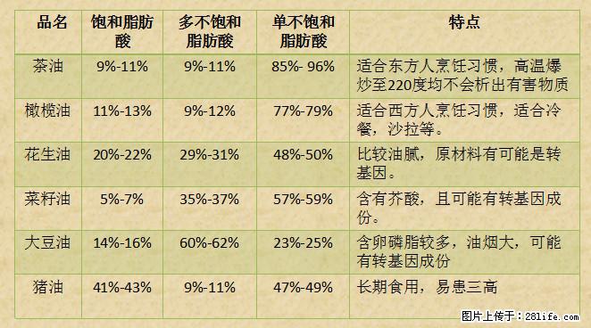 揭秘茶油的5大核心营养成分！被称为人体健康的“守护盾”！ - 石家庄生活资讯 - 石家庄28生活网 sjz.28life.net
