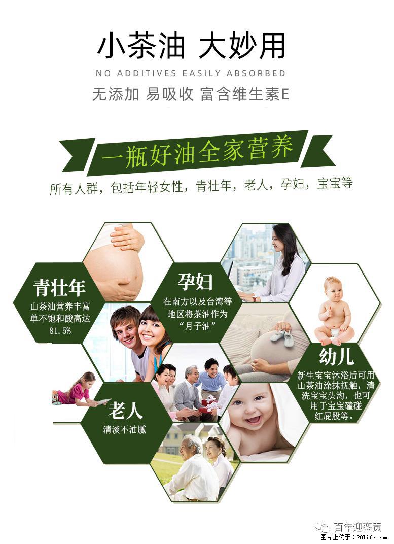 世界没有真相，只有认知，最好的食用油是中国的山茶油！ - 石家庄生活资讯 - 石家庄28生活网 sjz.28life.net
