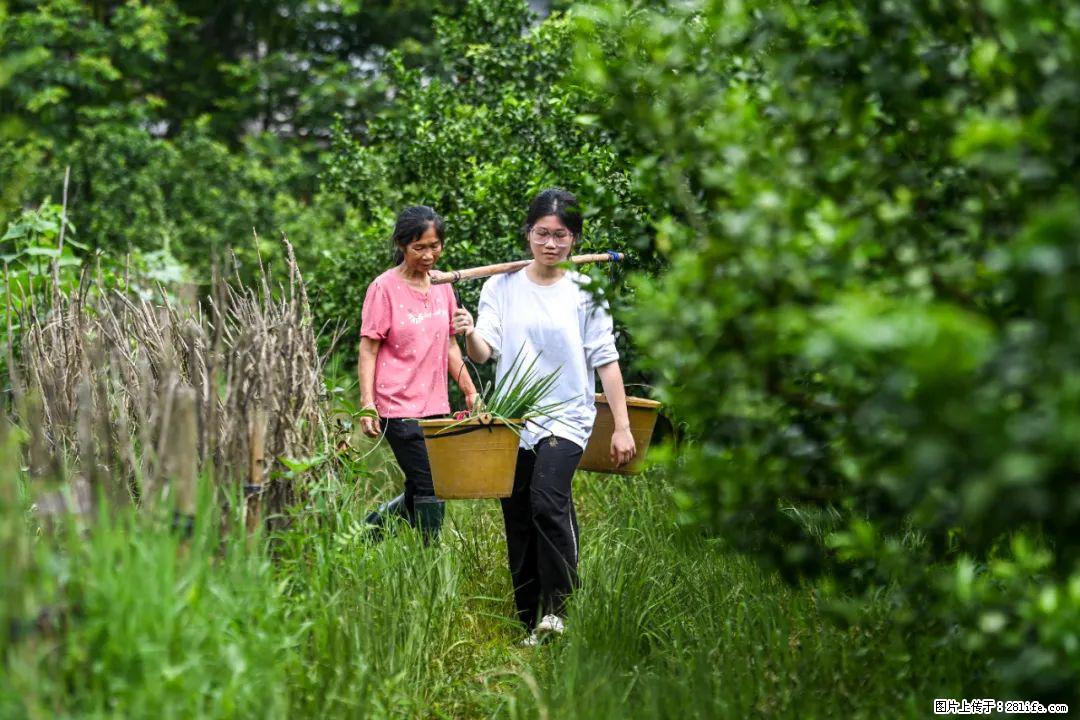 全网追的“扁担女孩”，找了一份暑假工，时薪12元 - 石家庄生活资讯 - 石家庄28生活网 sjz.28life.net