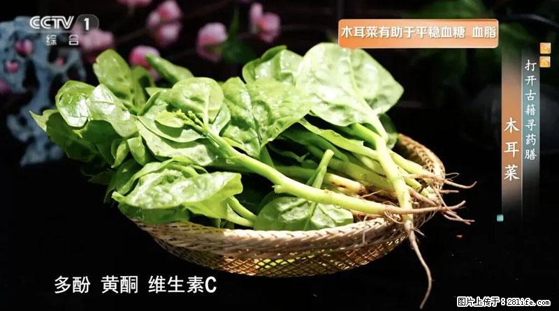 比牛奶补钙还厉害！凉血解毒、稳血糖...这菜冬天必吃，很多人却当草 - 石家庄生活资讯 - 石家庄28生活网 sjz.28life.net