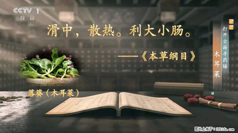比牛奶补钙还厉害！凉血解毒、稳血糖...这菜冬天必吃，很多人却当草 - 石家庄生活资讯 - 石家庄28生活网 sjz.28life.net