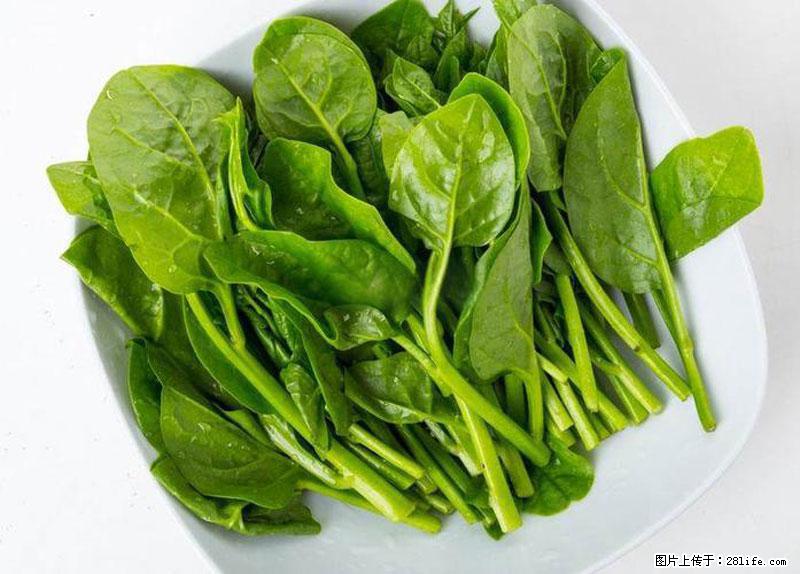 这些蔬菜是“天然钙片”，这6种被医生重点推荐 - 石家庄生活资讯 - 石家庄28生活网 sjz.28life.net