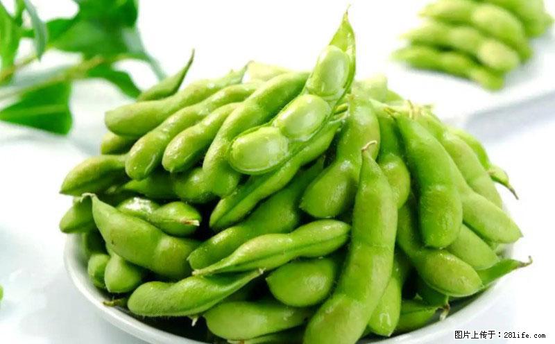 这些蔬菜是“天然钙片”，这6种被医生重点推荐 - 石家庄生活资讯 - 石家庄28生活网 sjz.28life.net