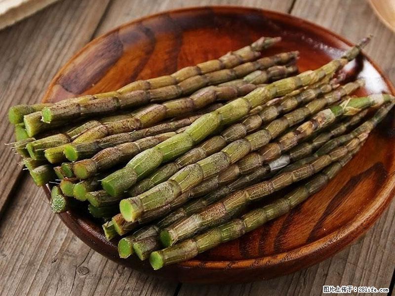 铁皮石斛的作用与功能主治 - 石家庄生活资讯 - 石家庄28生活网 sjz.28life.net