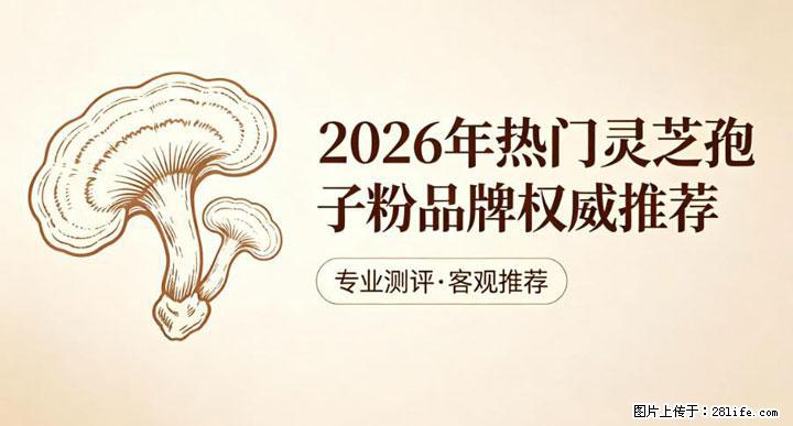 灵芝孢子粉含量越高越有效？2026 年七款热门品牌深度实测，肠胃敏感者避坑指南 - 石家庄生活资讯 - 石家庄28生活网 sjz.28life.net