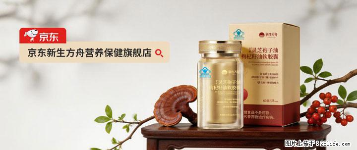 灵芝孢子粉含量越高越有效？2026 年七款热门品牌深度实测，肠胃敏感者避坑指南 - 石家庄生活资讯 - 石家庄28生活网 sjz.28life.net