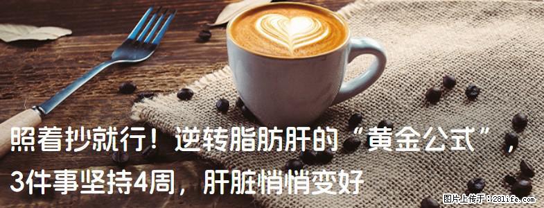 照着抄就行！逆转脂肪肝的“黄金公式”，3件事坚持4周，肝脏悄悄变好 - 石家庄生活资讯 - 石家庄28生活网 sjz.28life.net